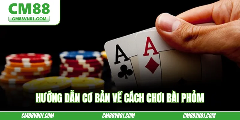 Hướng dẫn cơ bản về cách chơi bài Phỏm